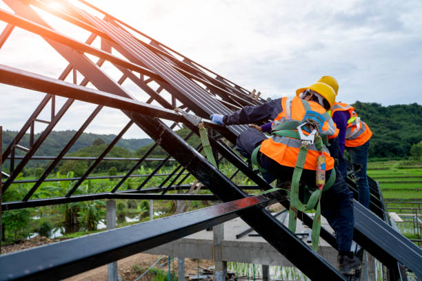 Best Roof Gutter Cleaning  in Bloomfield Hills, MI